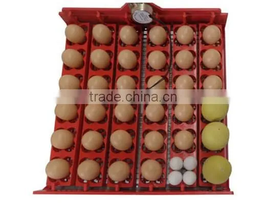 Newest Mini Eggs Incubators for 48 Eggs& 36 Eggs (hold Different Tray With One Machine) photo-5