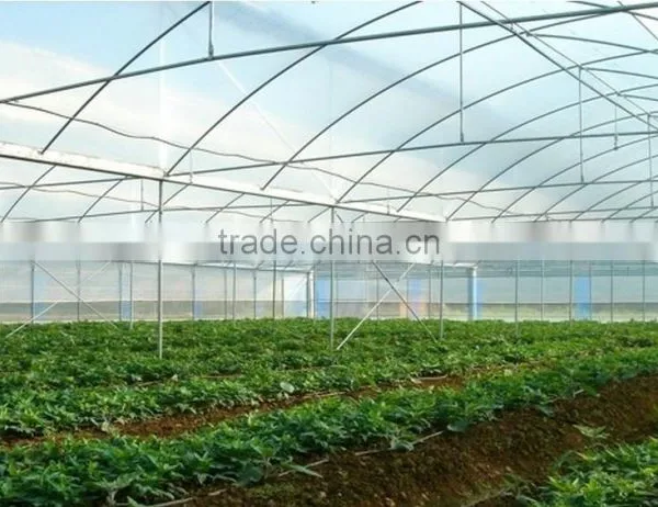 Low Cost Hydroponic Greenhouses System photo-5