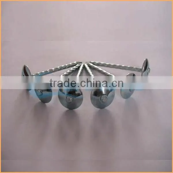 Top Quality Best Quality and Cheaper Big Head Roofing Nails Trusted Chuanghe Suppliers From Com photo-2