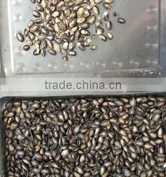 2016 the Latest Competitive Price of Watermelon Seeds Color Sorter Machine photo-4