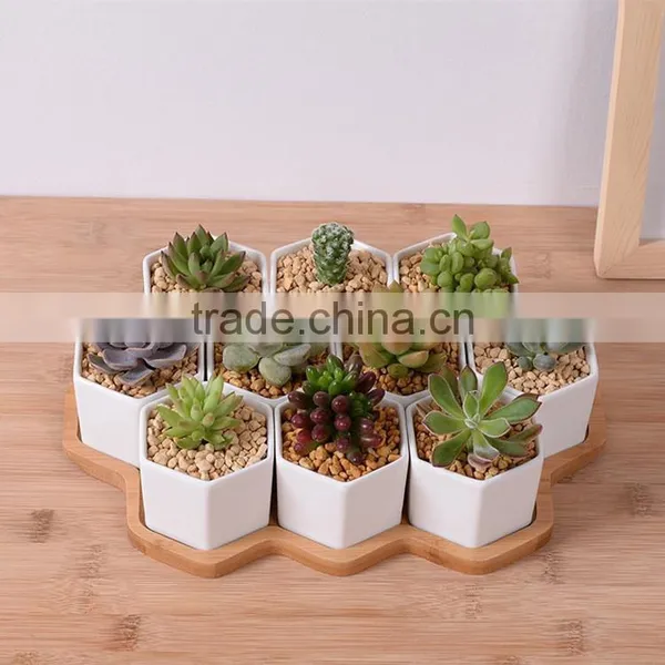 Zakka Combination Potted Six Sides Indoor Glazed Pottery Planters With Bamboo Tray photo-2