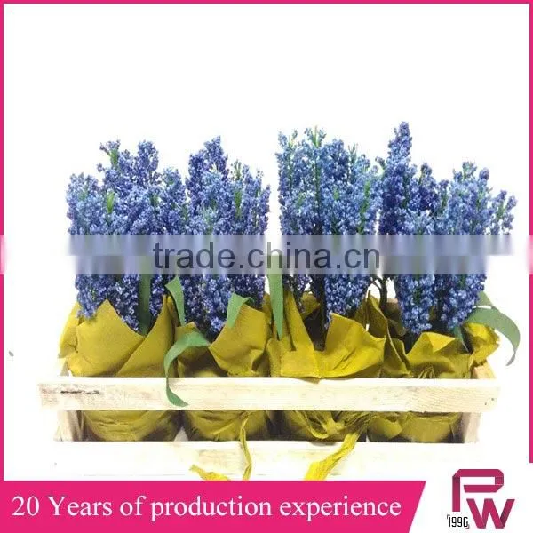 Cheap Wholesale Artificial Flowers Ribbon Flowers for Home Decore photo-4
