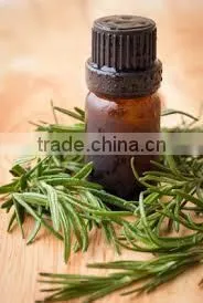 Rosemary Oil photo-2