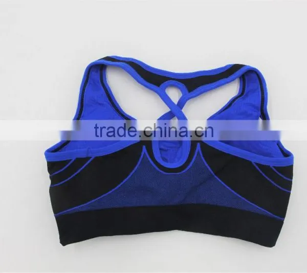 Blue Seamless Sports Bra /customized Sports Bra Factory Shantou photo-2