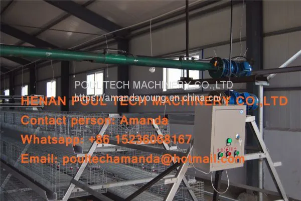 Qatar Poultry Farming A Type Battery Broiler Cage & Chicken Cage & Poultry Farm Equipment With Automatic Feeding & Drinking System photo-3