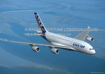 Shipping Freight Forwarder Agent Door to Door Shipping Companies Sea Cargo Ship Rates From China To UK Canada Spain Italy Worldwide photo-2