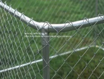 Dog Kennel photo-3