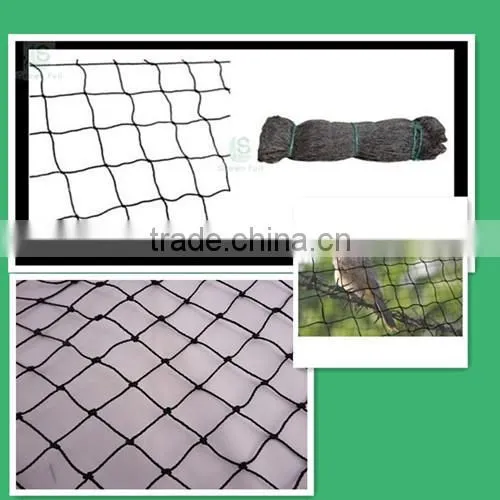 Knot Net