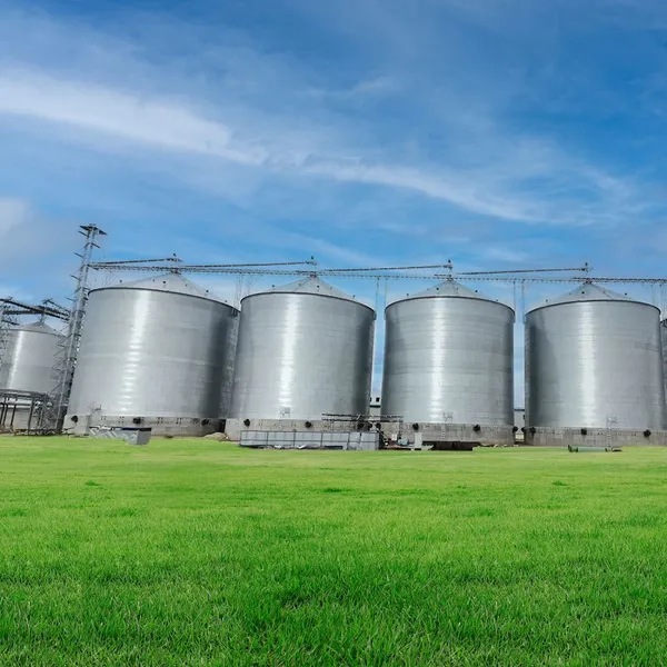 Flat-bottom Silo photo-2