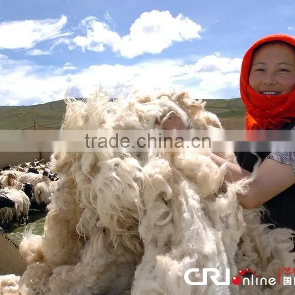 Industrial Washing Machine Wool Cleaning Machine Quality Choice photo-4