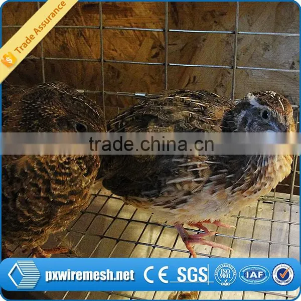 Hot-dipped Galvanized Quail Cage photo-3
