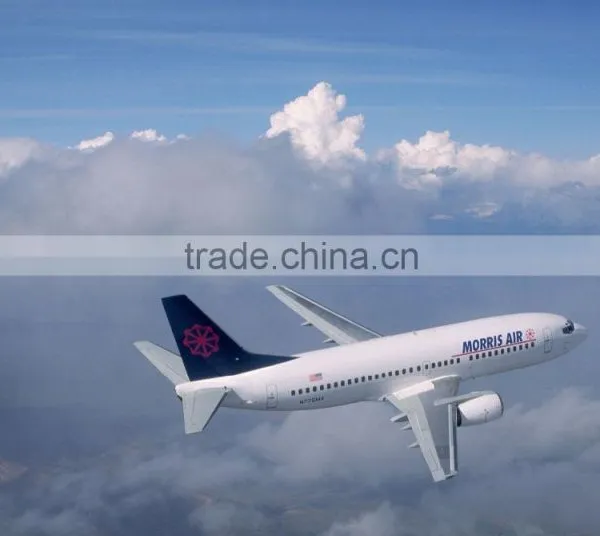 Best Service Air Freight Forwarder to Indonesia photo-2