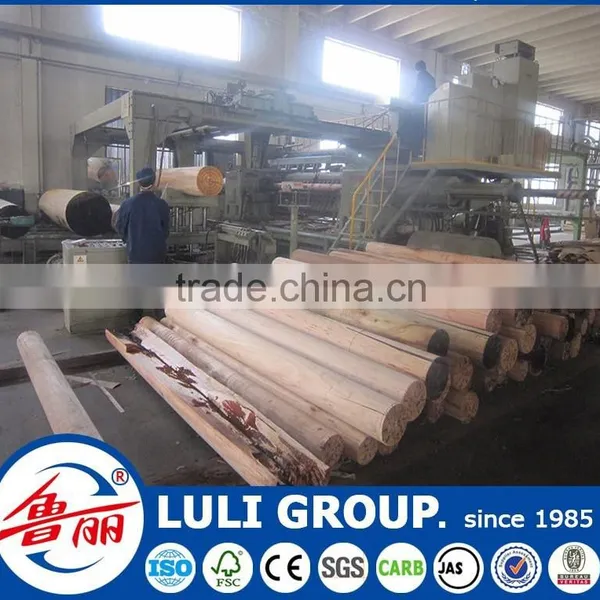 Okoume Veneer photo-5