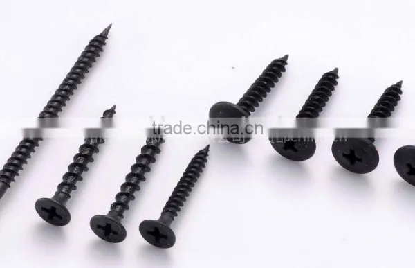 Supply Screw Nails photo-2
