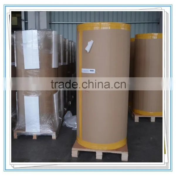 Self Adhesive Thermal Laminated Label Roll for Baggage Tag photo-2