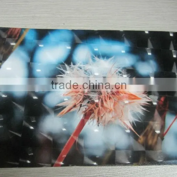 2015 Lowest Price Crytal Laminator Film photo-4
