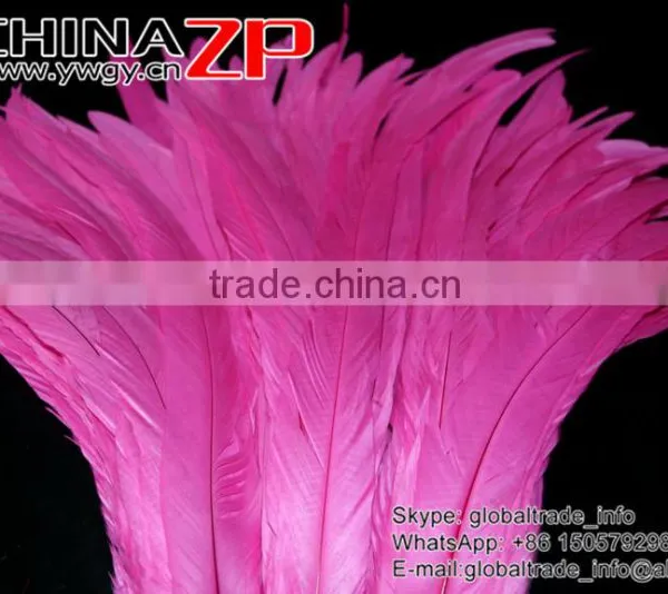 Top Supplier ZPDECOR Wholesale 35-40cm Length Good Quality Hot Pink Fully Dyed Rooster Chicken Feathers photo-2