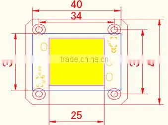 220V AC Led Chip 50W Driverless photo-2