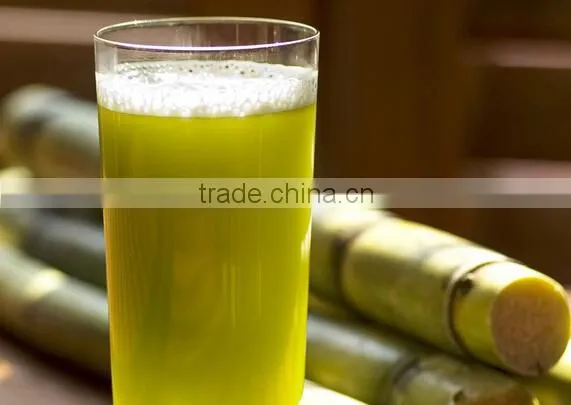 Low Price Electric Sugar Cane Juicer Extractor/sugar Cane Juice Machie photo-3
