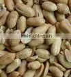 Canned Roasted and Salt Peanut photo-2