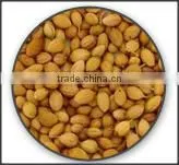 Coriander Seeds