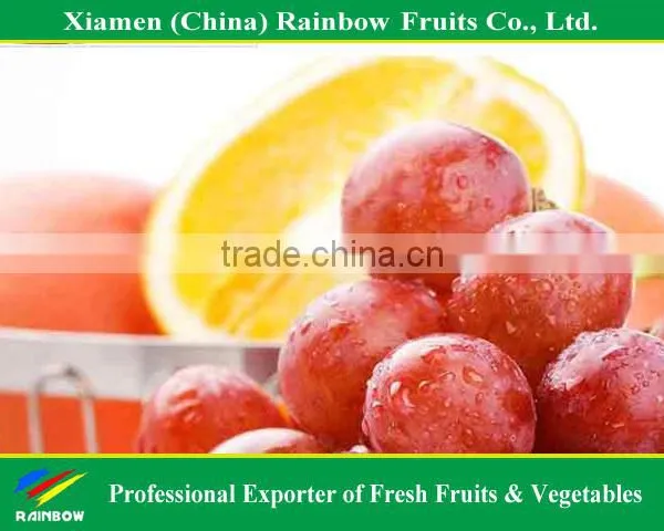 Fresh Red Globe Grape From Yunnan China