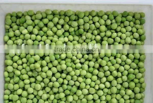 IQF Green Pea