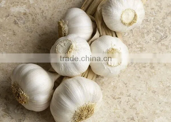 Cheap Wholesale Natural White Fresh Garlic With Mesh Bag photo-4