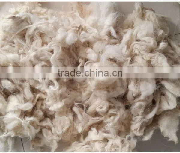 The New Harvest of Carpet Grade Wool,32-34mic,3-5inch, Good White for Carpet Yarn Spinning photo-2