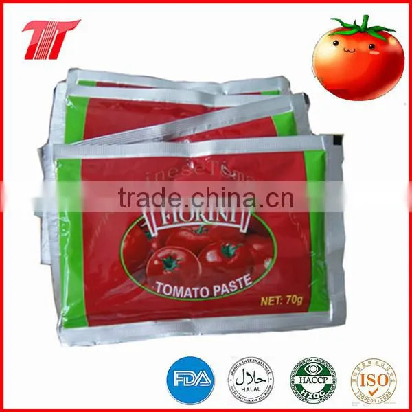 Color Printing Laminated Plastic Tomato Paste Sachet photo-2