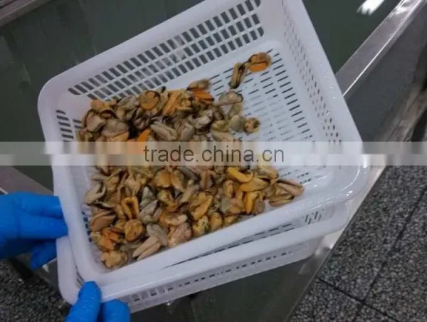 Frozen Mussel Boiled Meat Seafood Price From Seafood Company photo-3