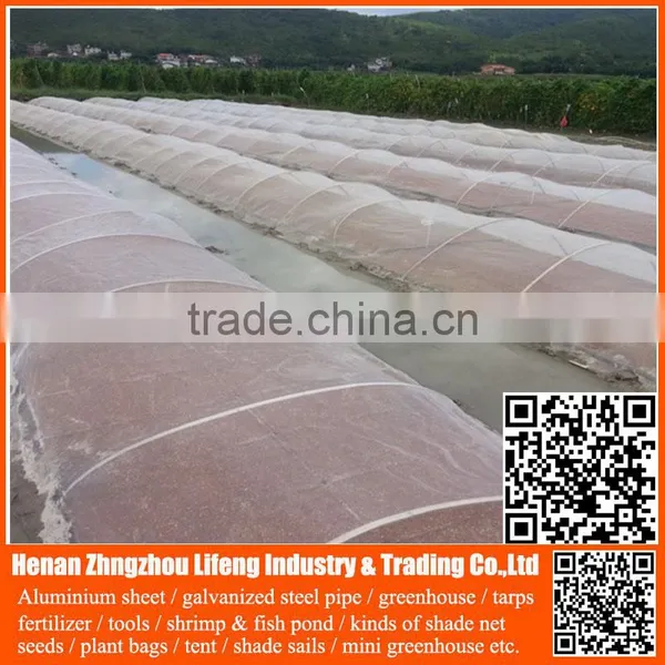 China Manufacture Hdpe With uv Greenhouse Insect Net , Plastic Agriculture pe Anti-insect Net , Nylon Insect Net With Low Price photo-6