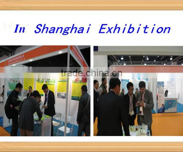 China Best Selling Natural Pine Oil 85% Price for Export photo-3