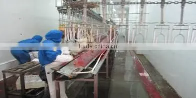 Halal Meat Processing Machine for Chicken photo-2