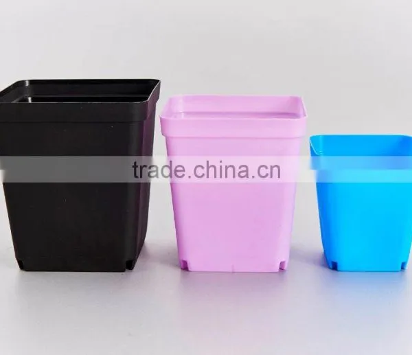 Flower Pot for Succulent Plant photo-3