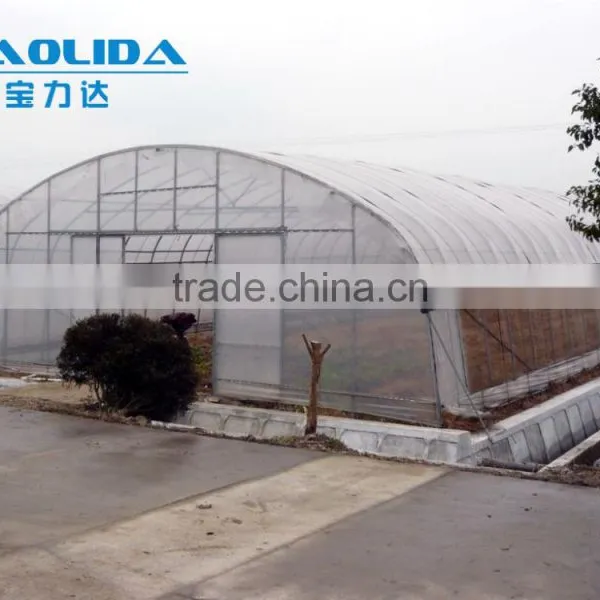 Plastic Film Covered Economic Tunnel Greenhouse For Agricultural Planting photo-3