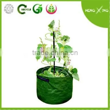 2016 PE Mini Patio Planter Plastic Grow Bags