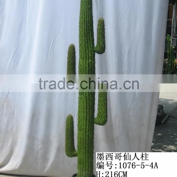 Top-quality Decoration Artificial Hoodia Cactus/opuntia Dillenii Haw photo-3