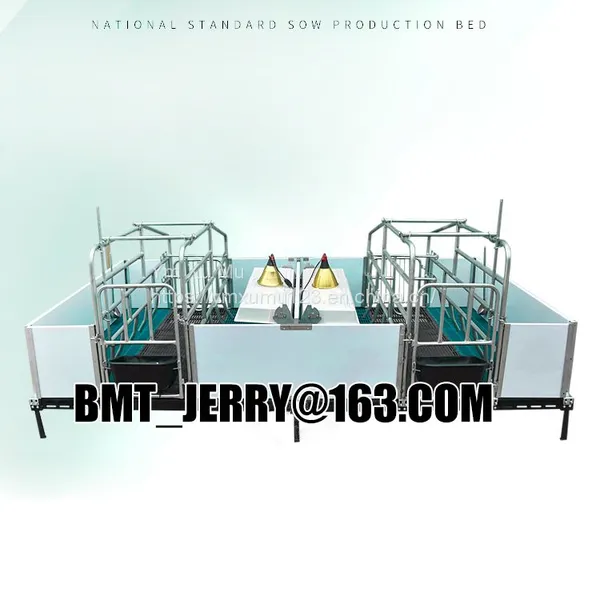 Hot Dip Galvanized Customized Size Sow Farrowing Cage for Swine Farm photo-5