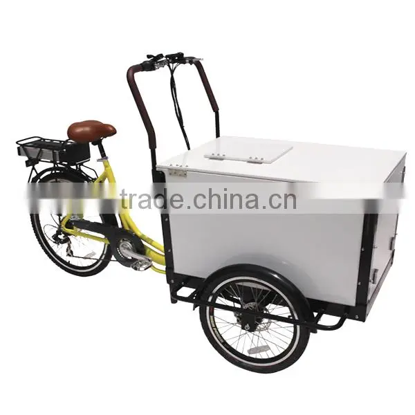Family Use 3 Wheel Freight Bicycle photo-4