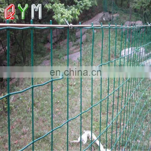 Galvanized and PVC Coated Euro Fence Welded Mesh Rolls photo-4
