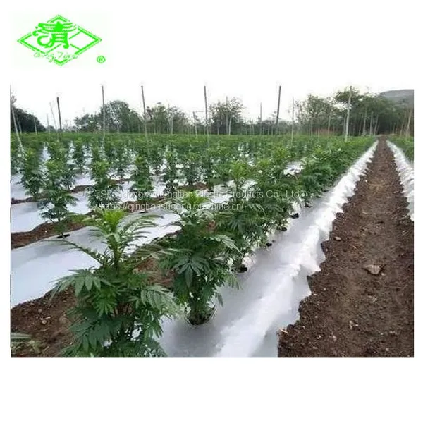 Factory Direct Sales of Silver Shine Plastic Mulch Films photo-4