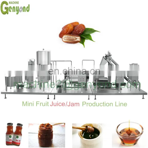 Turnkey Project Complete Set of Palm Dates Processing Line Date Syrup Production Line Factory Manufacture 500kg/hr photo-2