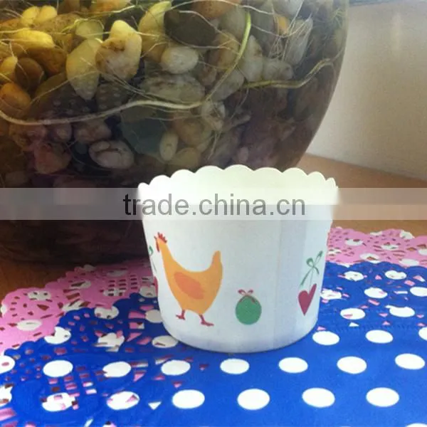 China Factory Middle Star Paper Cake Cup photo-3