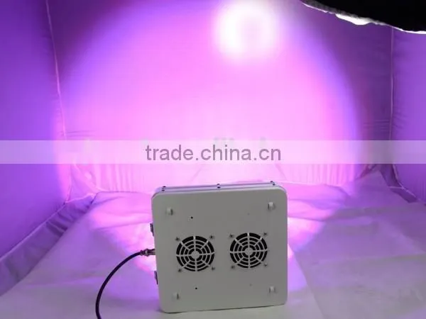 High Power 200W LED Grow Light 3 Years Warranty for Medical Plants photo-3