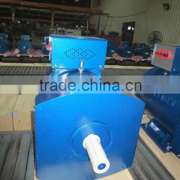 SINGLE PHASE AC BRUSH ALTERNATOR photo-2