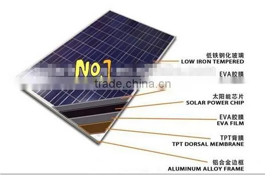 Top Ranking Good Service High 250w Solar Panel in China photo-5