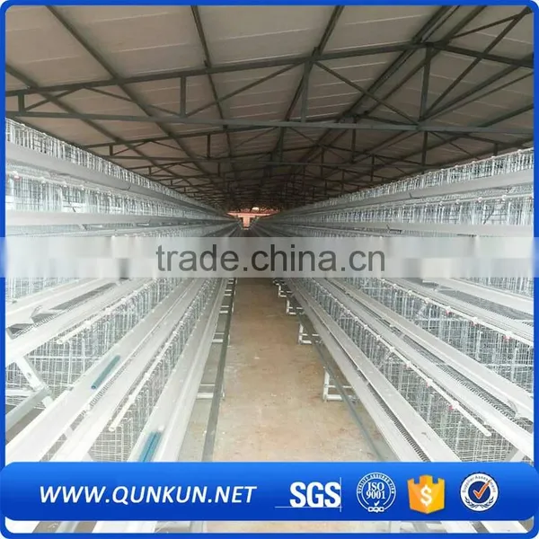 a Type Design Chicken Layer Cages Prices photo-6