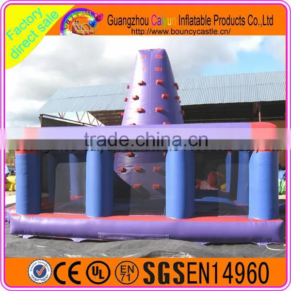 China Supply Commercial Rock Climbing Wall photo-4