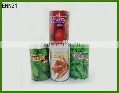 Tin Can Flowers ,Flowers Seed in Can